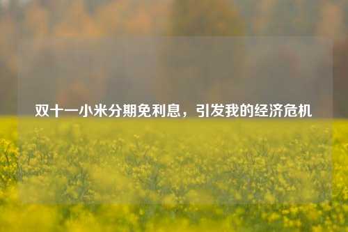 双十一小米分期免利息，引发我的经济危机