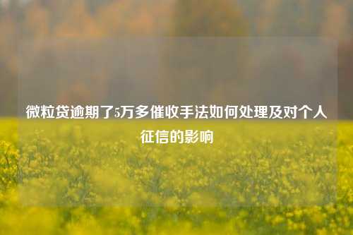 微粒贷逾期了5万多催收手法如何处理及对个人征信的影响