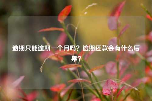 逾期只能逾期一个月吗？逾期还款会有什么后果？