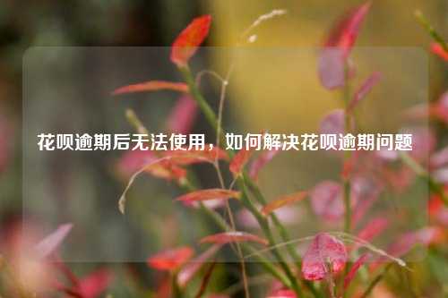 花呗逾期后无法使用，如何解决花呗逾期问题