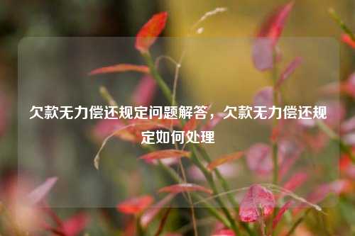 欠款无力偿还规定问题解答，欠款无力偿还规定如何处理