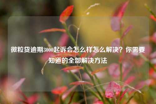 微粒贷逾期3000起诉会怎么样怎么解决？你需要知道的全部解决方法