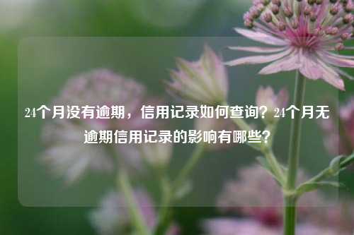 24个月没有逾期，信用记录如何查询？24个月无逾期信用记录的影响有哪些？