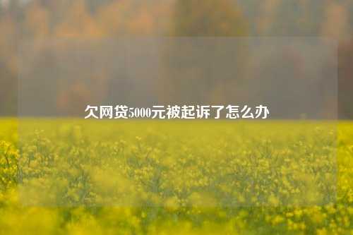 欠网贷5000元被起诉了怎么办