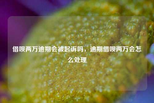 借呗两万逾期会被起诉吗，逾期借呗两万会怎么处理