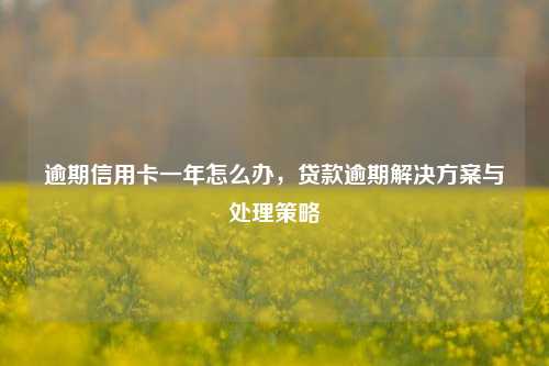 逾期信用卡一年怎么办，贷款逾期解决方案与处理策略