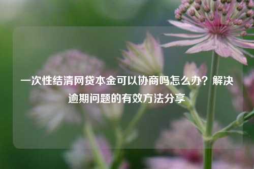 一次性结清网贷本金可以协商吗怎么办？解决逾期问题的有效方法分享