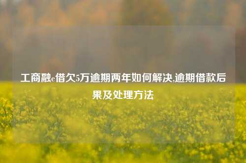 工商融e借欠5万逾期两年如何解决,逾期借款后果及处理方法