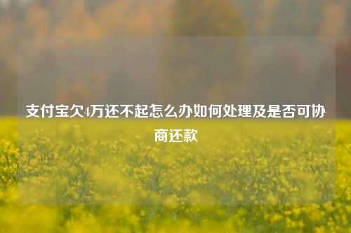 支付宝欠4万还不起怎么办如何处理及是否可协商还款