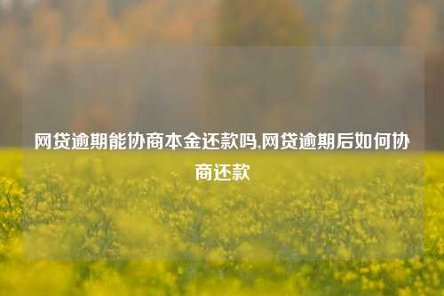 网贷逾期能协商本金还款吗,网贷逾期后如何协商还款