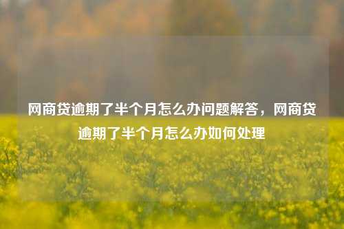 网商贷逾期了半个月怎么办问题解答，网商贷逾期了半个月怎么办如何处理