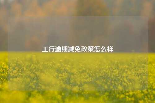 工行逾期减免政策怎么样