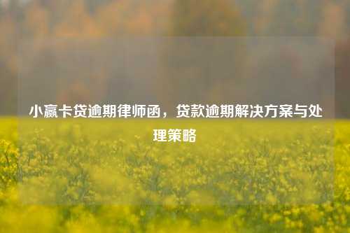 小赢卡贷逾期律师函，贷款逾期解决方案与处理策略