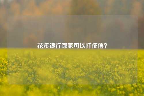 花溪银行哪家可以打征信？