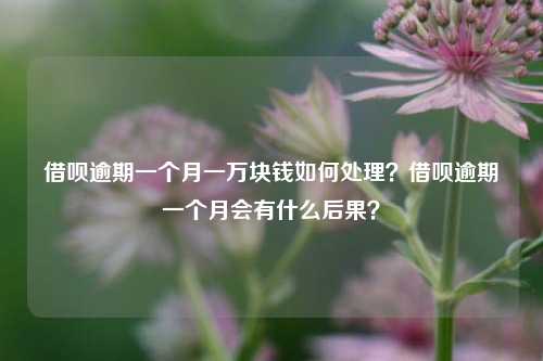 借呗逾期一个月一万块钱如何处理？借呗逾期一个月会有什么后果？