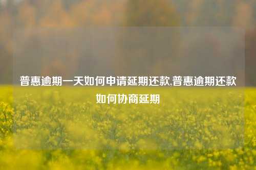 普惠逾期一天如何申请延期还款,普惠逾期还款如何协商延期