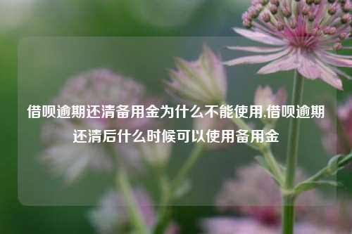 借呗逾期还清备用金为什么不能使用,借呗逾期还清后什么时候可以使用备用金