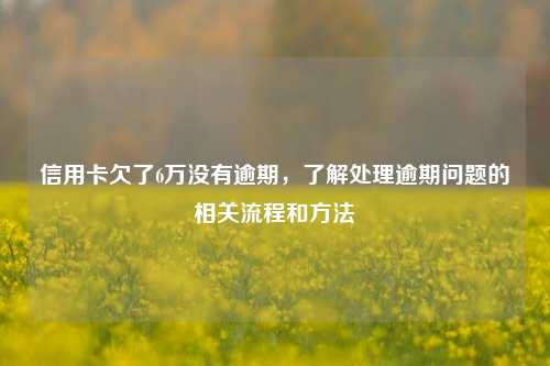 信用卡欠了6万没有逾期，了解处理逾期问题的相关流程和方法