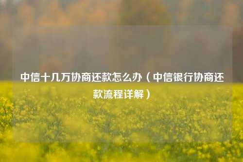 中信十几万协商还款怎么办（中信银行协商还款流程详解）