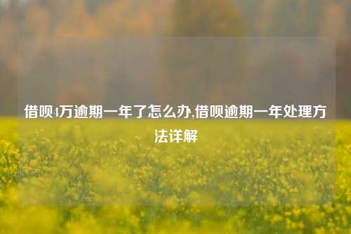 借呗4万逾期一年了怎么办,借呗逾期一年处理方法详解