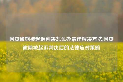 网贷逾期被起诉判决怎么办最佳解决方法,网贷逾期被起诉判决后的法律应对策略