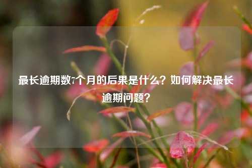 最长逾期数7个月的后果是什么？如何解决最长逾期问题？