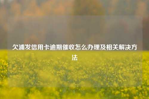 欠浦发信用卡逾期催收怎么办理及相关解决方法