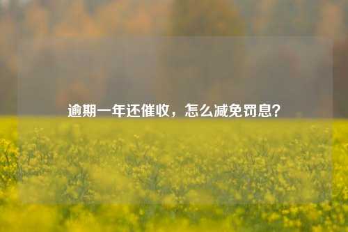 逾期一年还催收，怎么减免罚息？