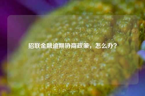 招联金融逾期协商政策，怎么办？