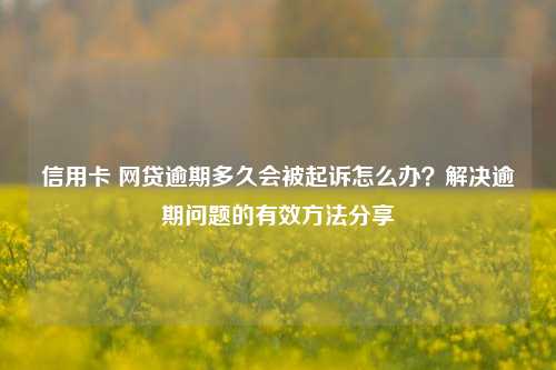 信用卡 网贷逾期多久会被起诉怎么办？解决逾期问题的有效方法分享