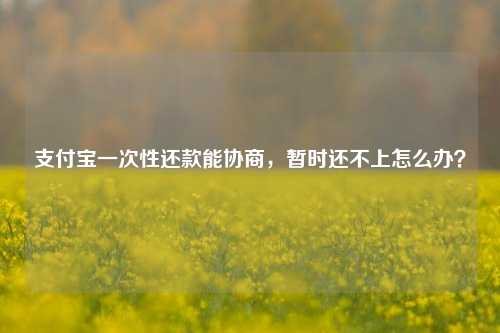 支付宝一次性还款能协商，暂时还不上怎么办？