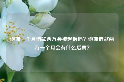 逾期一个月借款两万会被起诉吗？逾期借款两万一个月会有什么后果？