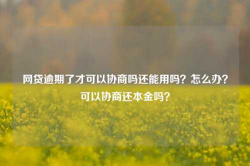 网贷逾期了才可以协商吗还能用吗？怎么办？可以协商还本金吗？