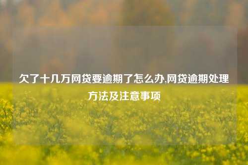 欠了十几万网贷要逾期了怎么办,网贷逾期处理方法及注意事项