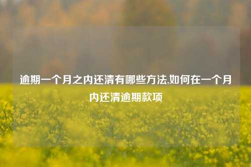 逾期一个月之内还清有哪些方法,如何在一个月内还清逾期款项