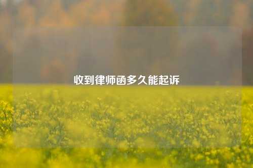 收到律师函多久能起诉