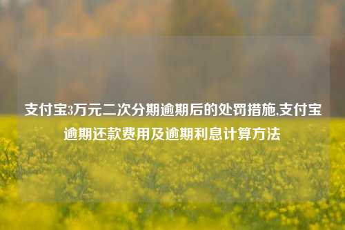 支付宝3万元二次分期逾期后的处罚措施,支付宝逾期还款费用及逾期利息计算方法