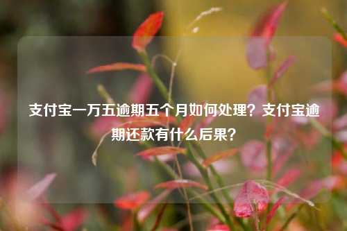 支付宝一万五逾期五个月如何处理？支付宝逾期还款有什么后果？