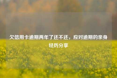 欠信用卡逾期两年了还不还，应对逾期的亲身经历分享