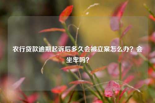 农行贷款逾期起诉后多久会被立案怎么办？会坐牢吗？