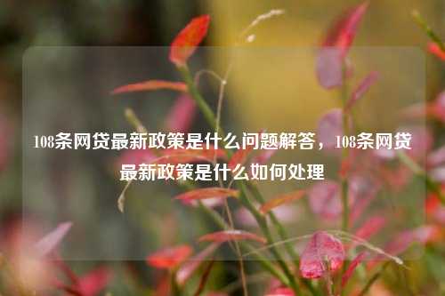 108条网贷最新政策是什么问题解答，108条网贷最新政策是什么如何处理