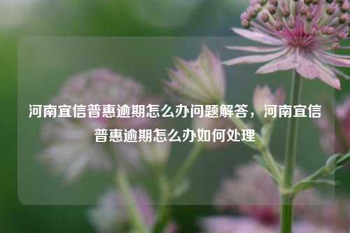 河南宜信普惠逾期怎么办问题解答，河南宜信普惠逾期怎么办如何处理