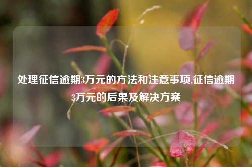 处理征信逾期3万元的方法和注意事项,征信逾期3万元的后果及解决方案