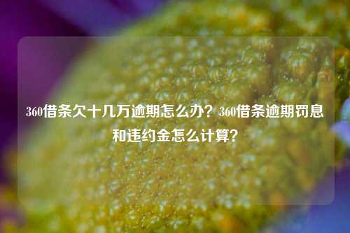 360借条欠十几万逾期怎么办？360借条逾期罚息和违约金怎么计算？