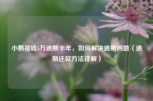 小鹅花钱5万逾期半年，如何解决逾期问题（逾期还款方法详解）