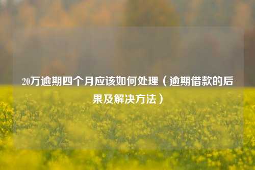 20万逾期四个月应该如何处理（逾期借款的后果及解决方法）