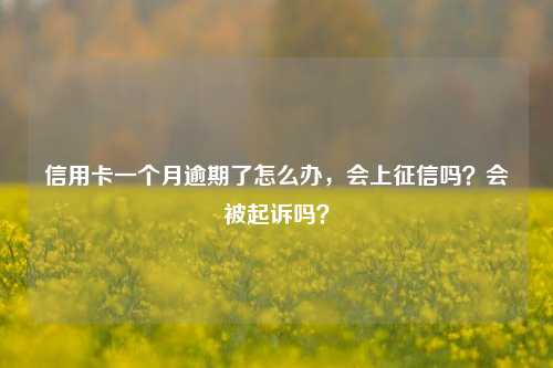 信用卡一个月逾期了怎么办，会上征信吗？会被起诉吗？