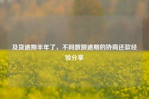 及贷逾期半年了，不同数额逾期的协商还款经验分享