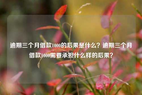 逾期三个月借款1000的后果是什么？逾期三个月借款1000需要承担什么样的后果？