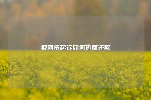 被网贷起诉如何协商还款